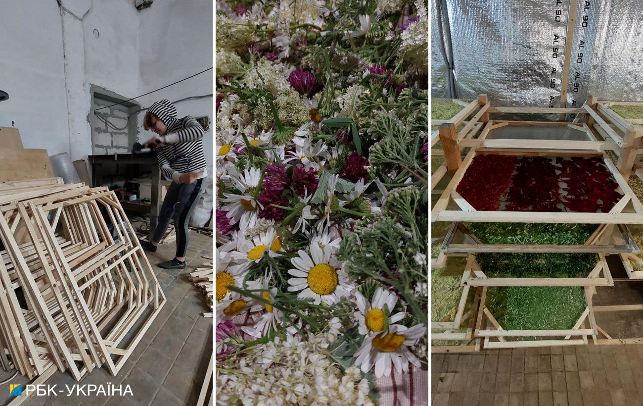 &quot;Держат целостность страны&quot;. Как переселенцы обустраивают новую жизнь на Закарпатье